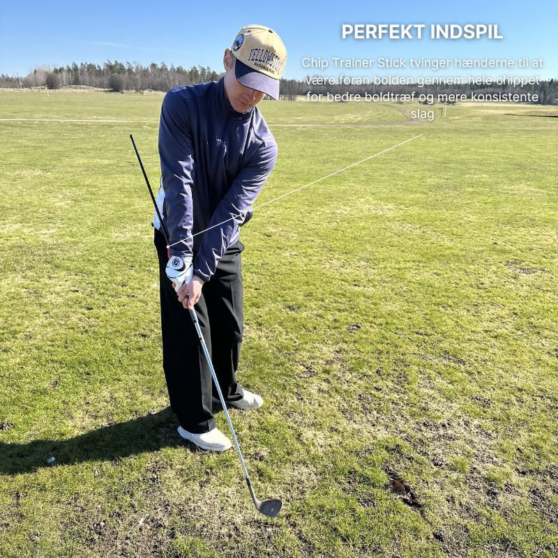 Chip Trainer Stick